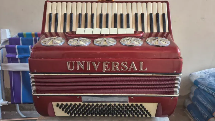 Acordeon universal 120 baixos