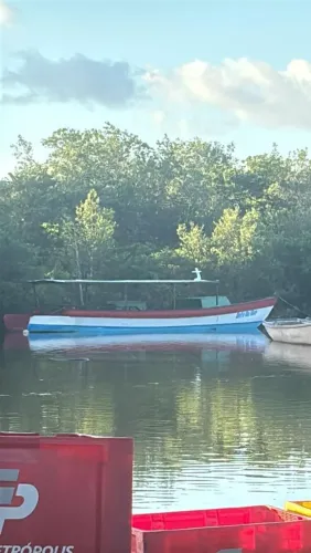 Barco de fibra