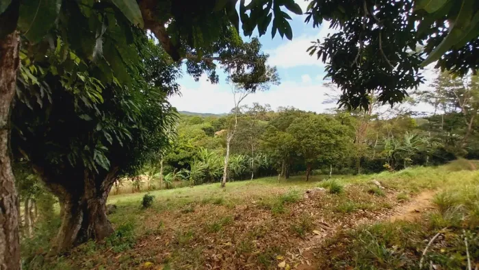 Terreno 1000m² em Mulungu (Sítio Couros) - ESCRITURA OK - Direto c/ Proprietário
