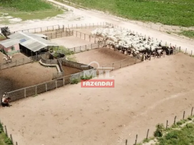 Fazenda com 17.799 hectares na região de Baianópolis Bahia