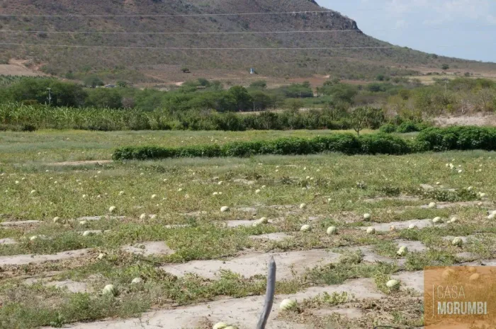Fazenda à Venda 16.000 Hectares em Ibó-abare , Bahia projetos de energia solar, refloresta