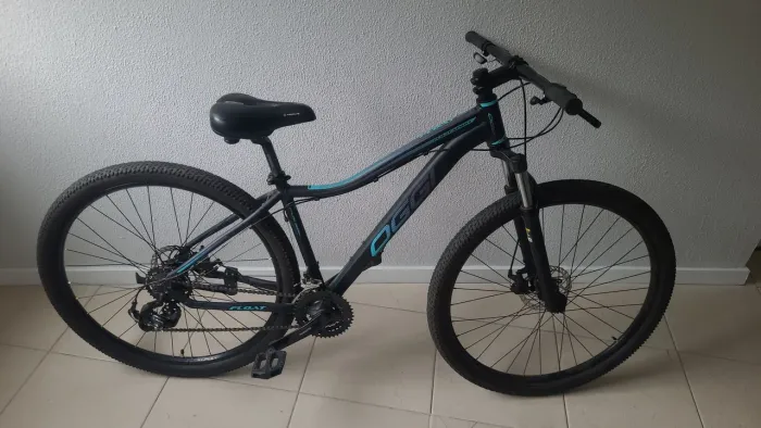 Bicicleta feminina oggi