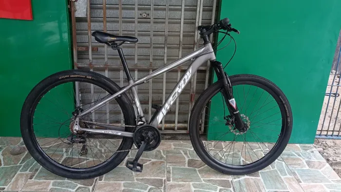 Bicicleta aro 29