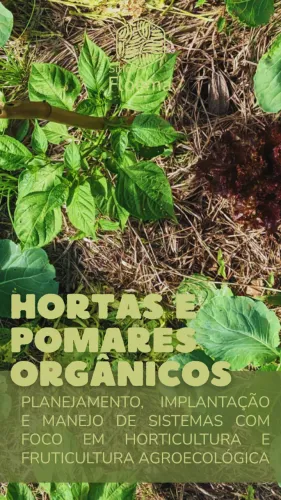 Hortas, pomares orgânicos agroecológicos e sistemas agroflorestais