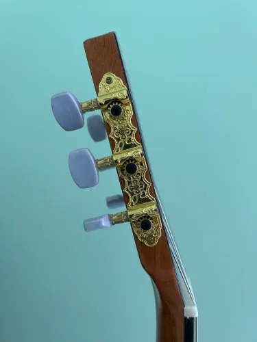 Violão Di Giorgio eletroacústico. Completo. Modelo Author 3E.