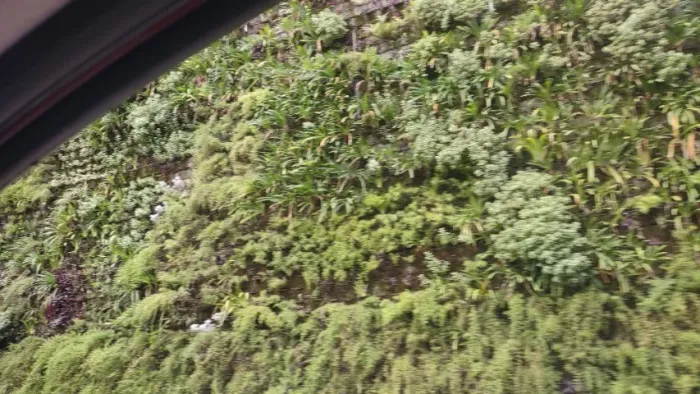 Terreno 914m2 para compensação ambiental Caraguatatuba SP