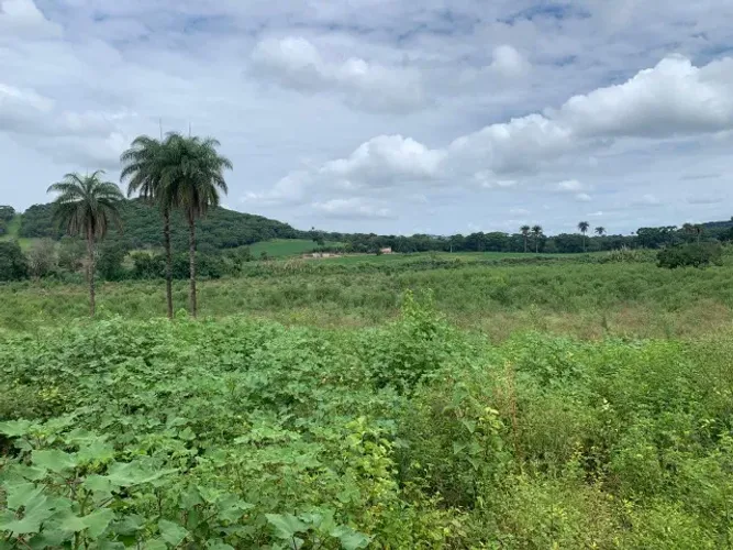 Fazenda 150ha, com 3km de beira de rio, nascente no terreno, terra de cultivo, Lagoa Santa
