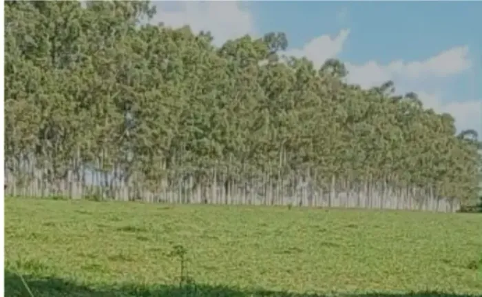 Sitio na Beira do Rio São José