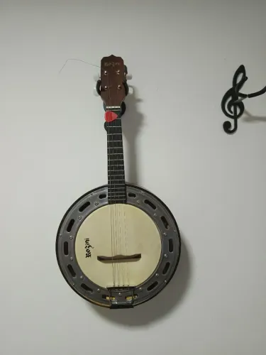 Banjo Rozini