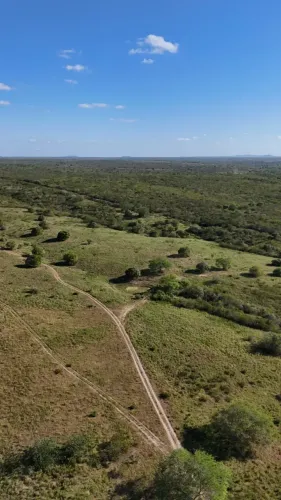 Excelente Fazenda com 550 hectares na região Ielmo marinho RN