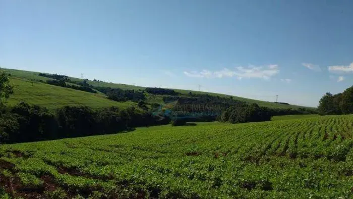 Sítio à venda, 314600 m² por R$ 5.070.000,00 - São Salvador - Cascavel/PR