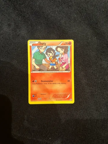 Tepig (SP condition)