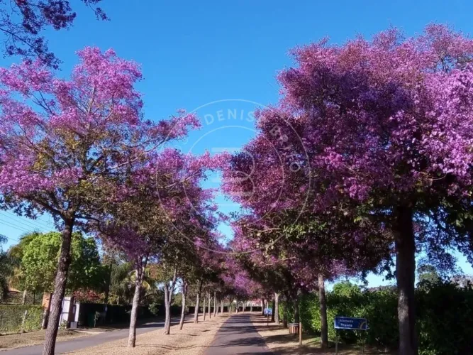 Condomínio Alto da Boa Vista - Viva a tranquilidade e o contato com a natureza no Condomín
