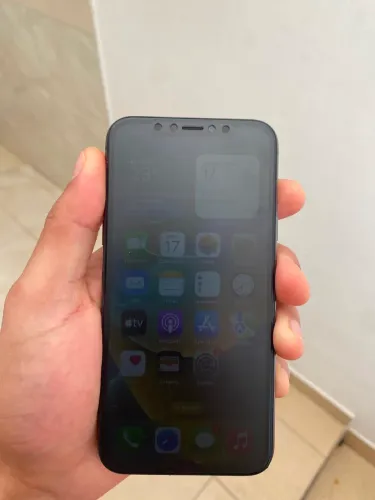 iPhone X
