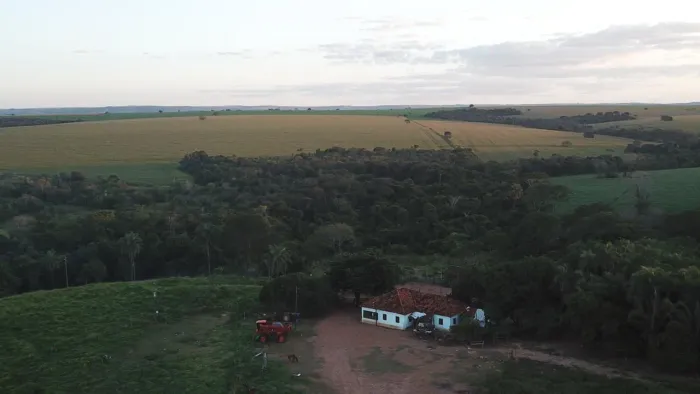 Fazenda 161 Alqueires, 12 Kms de Estrada de Chão, 105 Alqueires Plantado e Falta 35 Alquei