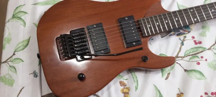Guitarra WASHBURN N4 (handmade/luthier)