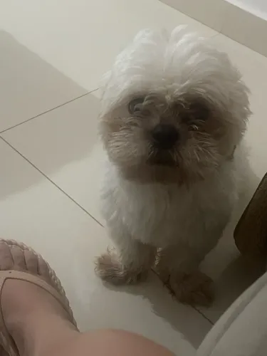 Doação 