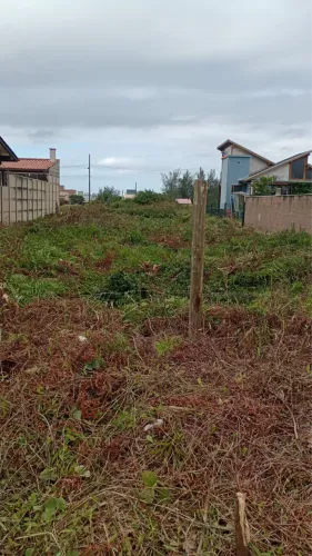 TERRENO 12x25