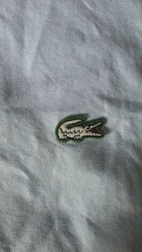 Camisa Lacoste original - Tamanho M