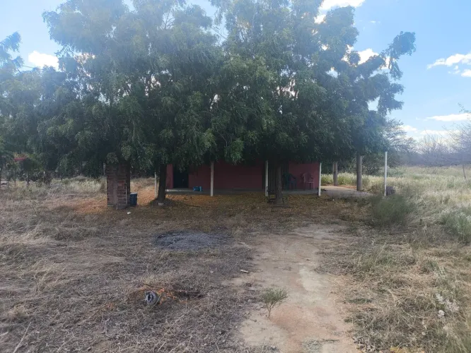 13 HECTARES SÍTIO COM ÁGUA PRA IRRIGAÇÃO,ACEITA TROCAR EM CARRO.