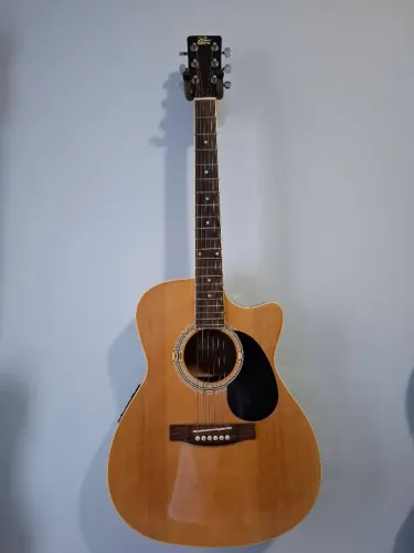 Violão Rogue Fishman RAGCEQ