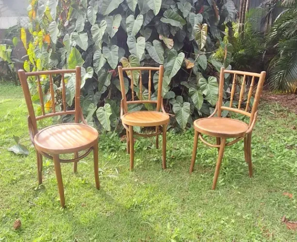 Trio de Cadeiras Thonart estilo Austríaco. Em madeira nobre maciça