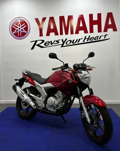 YS 250 FAZER/ FAZER L. EDITION /BLUEFLEX