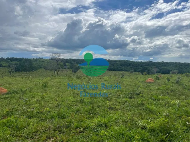 Fazenda 43 Alqueires 208 Hectares dupla aptidão região de Uruaçu