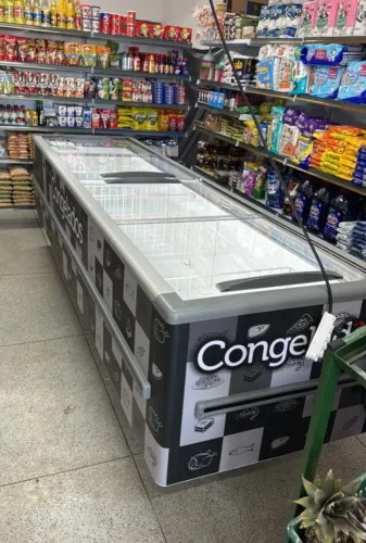 Ilha expositora para congelados - FRICON 