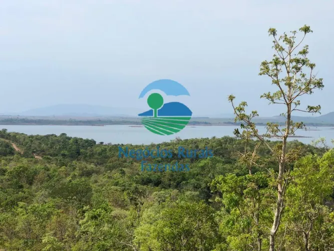 Fazenda 150 Alqueires ou 726 Hectares para criar gado no lago serra da mesa