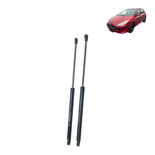 Par Amortecedor Tampa Traseira Peugeot 307 2010 S 35155