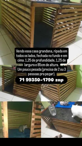 Casa pet grande