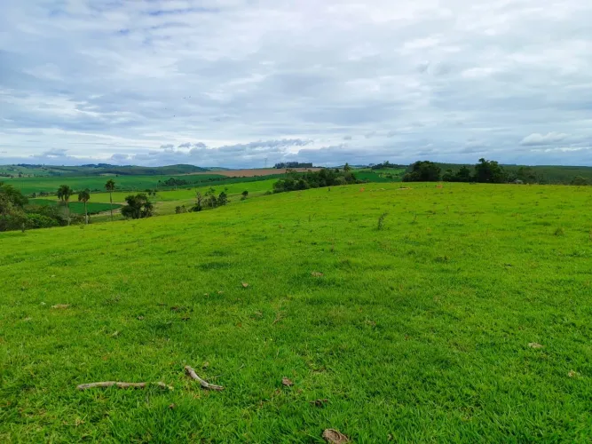 EXCELENTE SÍTIO A VENDA NA REGIÃO DE ITAPETININGA-SP ?? Área Total: 17,7 Alqueires Pasto: 