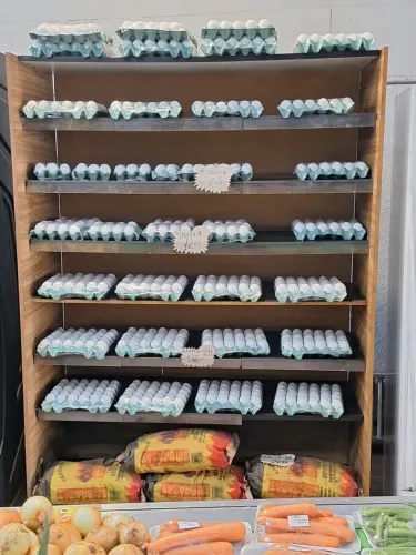 Gôndolas pra mercado,padaria e etc