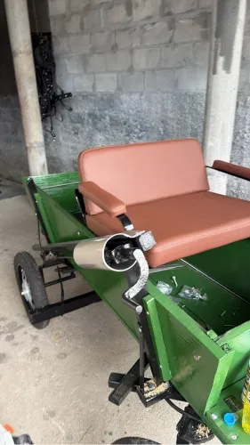 Carroça ponei