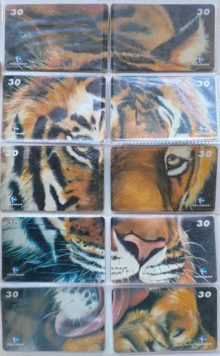 Série completa Tigre Telemar