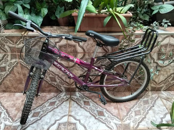 Bicicleta Aro 20 Free Action