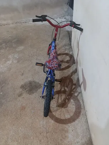 Bicicleta infantil ZAP *