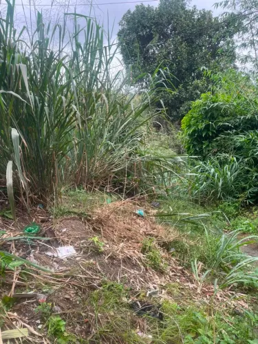 Terreno no Tenente jardim Niterói travessa são José