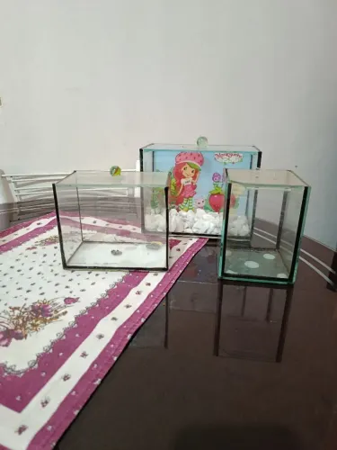 Conjunto 3 Aquários Beteira