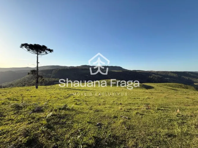 Rancho Queimado/SC - Terreno Vista Panorâmica e Pôr do Sol, 100% Pastagem - Próximo à BR-2