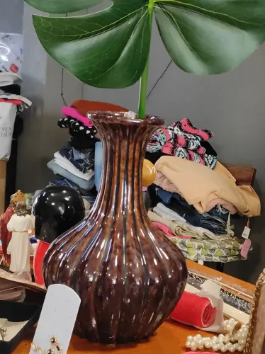 Vaso maravilhoso com uma folha de costela de Adão 