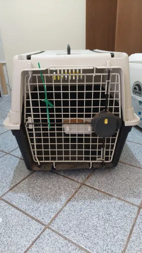 Caixa transportadora de cachorros pra avião