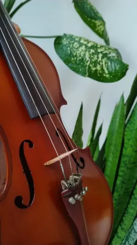 Violino Eagle Vk144 usado