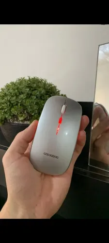 Mouse bluetooth