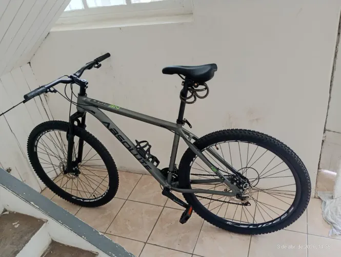 Bicicleta Absolut neto 5 quadro 19