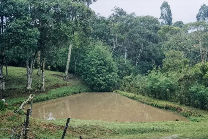 Terreno em Piraquara - PR