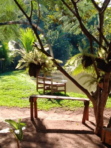 Vende-se uma chácara em Petrolina de Goiás - 2000m² - Toda Formada
