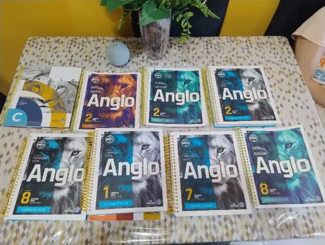 Vendo Livros Didáticos da Anglo Ensino Médio (1° e 2° atualizados)