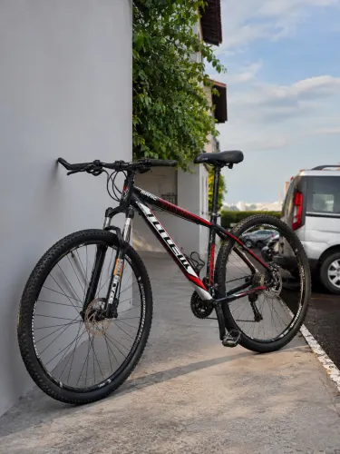 Bicicleta Totem